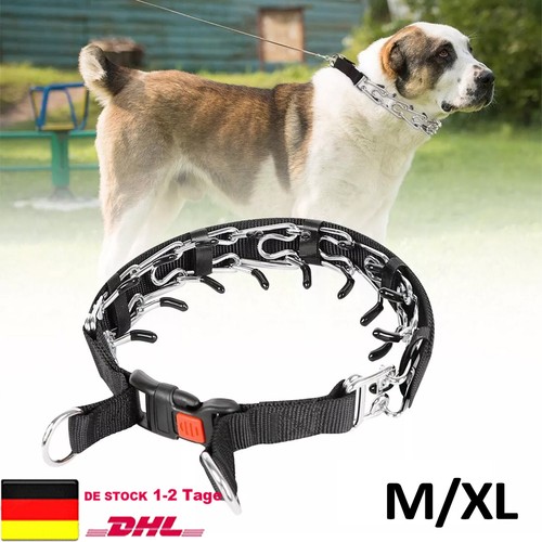 Hundehalsband verstellbarer - hundehalsband,