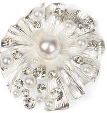 Muschel Magnet Schmuck