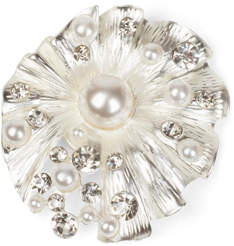 Muschel magnet schmuck - muschel,