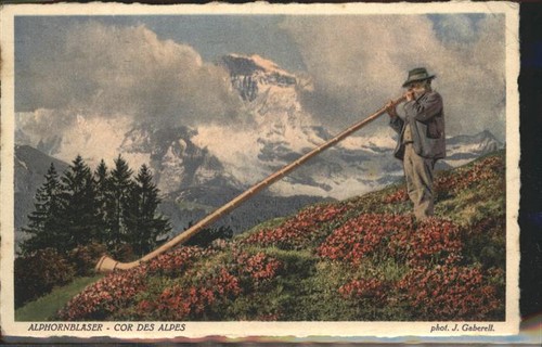 Alphorn - ,