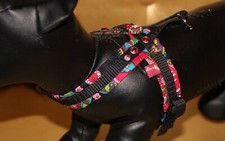 8422_Angeldog_Hundegeschirr_So