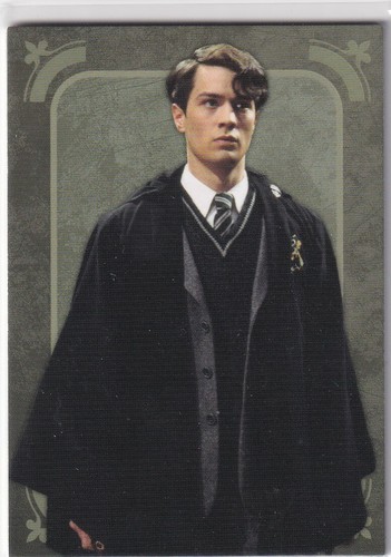 Panini harry potter - panini,
