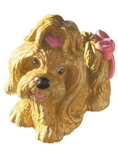 Simba yorkshire terrier hund - simba,