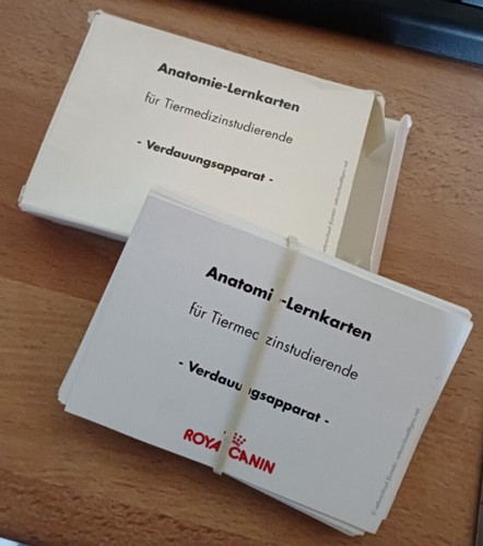 Anatomie lernkarten - anatomie,