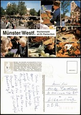 Ansichtskarte Münster (Westfalen) Wochenmarkt am St. Paulus Dom 1986