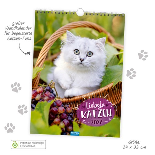 Kalender 2027 katzen - ,