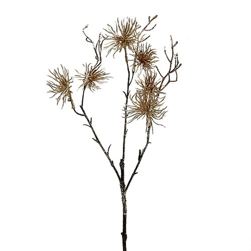 Magische zaubernuss deko für - magische,
