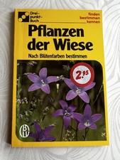 Pflanzen der Wiese- Nach