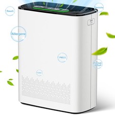 Luftreiniger Allergiker mit