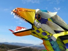 Flugdrachen Drachen Einleiner 3D-Drache 193cm