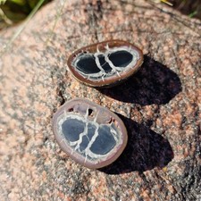 Budawi® Septarie Paar Geode