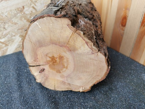 Mirabelle drechselholz ø17cm - mirabelle,