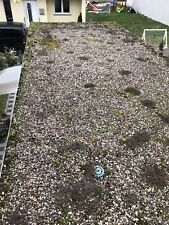 Kieselsteine 10kg