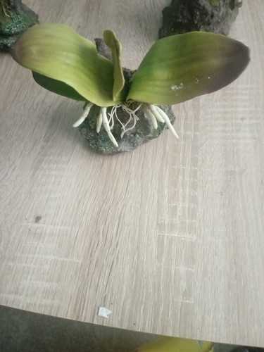 Terrarium kunst pflanzen deko - pflanzen,
