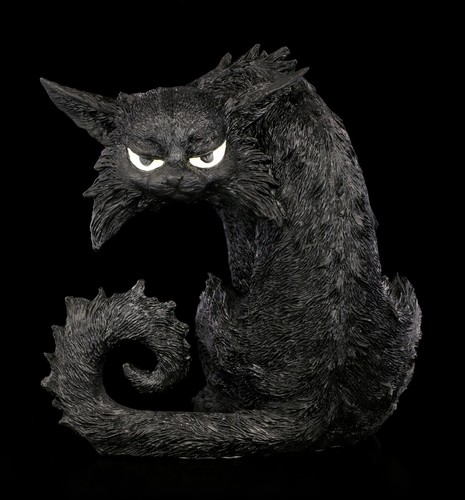 Schwarze hexen katzen - katzen,