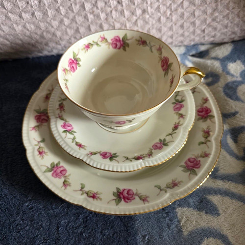 Hutschenreuther kaffeetasse - hutschenreuther,