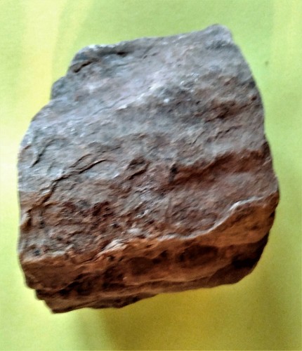 Verkieseltes holz aus - aus, der