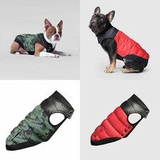 Canada Pooch Summit Stretch