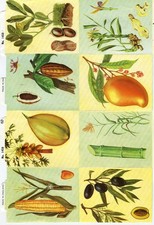 Glanzbilder Oblaten scrap