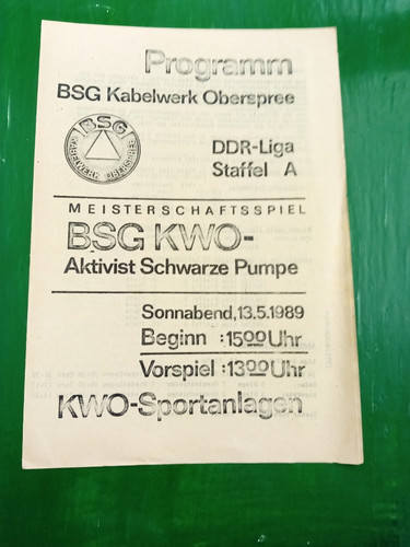 Programm bsg kwo - programm,