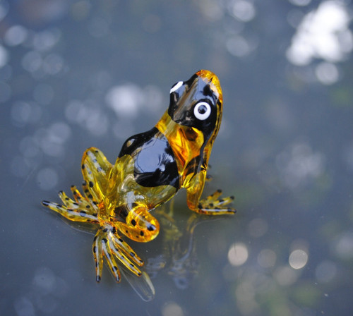 Frosch aus