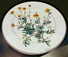 Villeroy&Boch Botanica