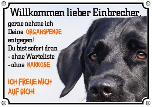 Hundeschild labrador retriever - labrador,