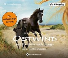 Ostwind auf der suche - ostwind,