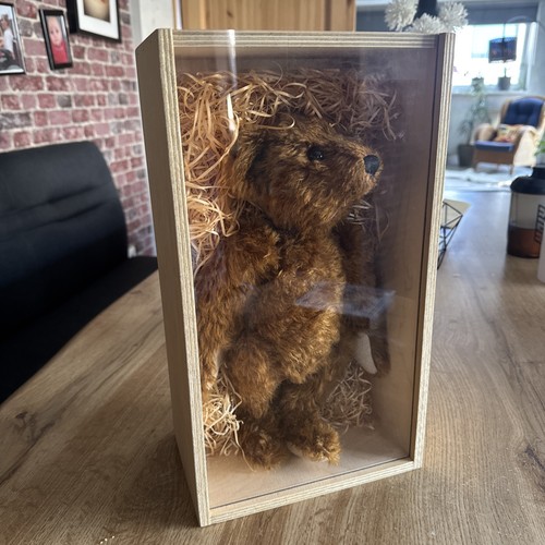 Steiff teddy bose - teddy,