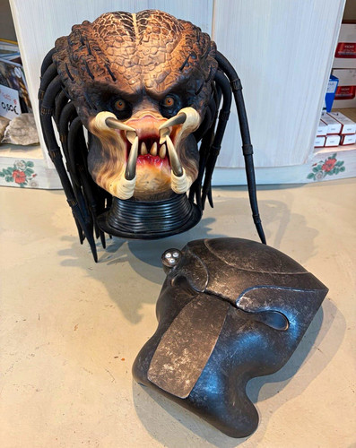 Predator head raubtier - predator,