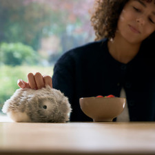 Casio AI Pet Moflin Kommunikationsroboter Silber PE-M10SR Japan [NEU]