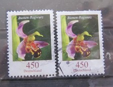 2 x Blumen Bienen Ragwurz 450