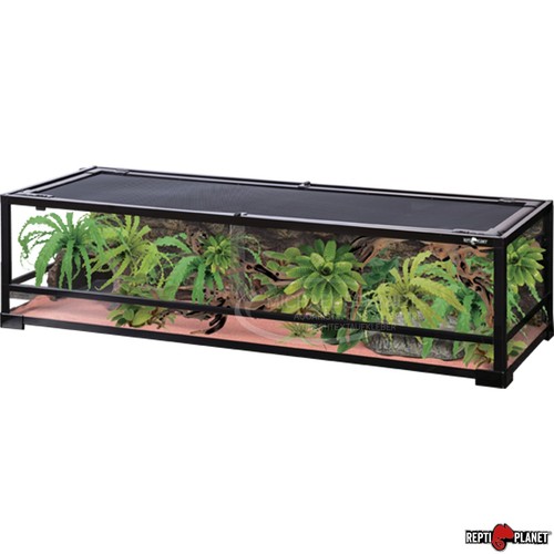 Reptiplanet terrarium - reptiplanet,