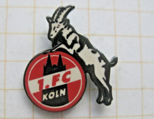 1.FC KÖLN / FUSSBALL