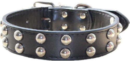 Hundehalsband aus leder - hundehalsband, mit