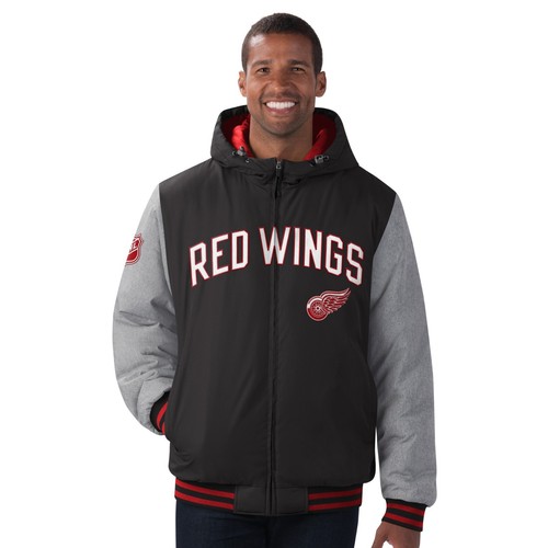 Nhl detroit red wings - nhl,