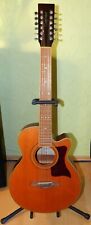Gitarre Tanglewood TW145 -- 12-saitige -- wie NEU !!!
