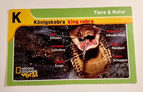National geographic world - national,