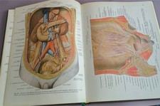 Atlas der anatomie des - anatomie,