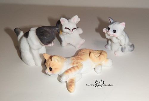 Katze - (versch.,
