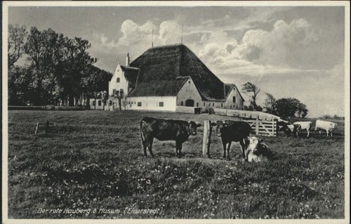 Eiderstedt bei husum - eiderstedt,