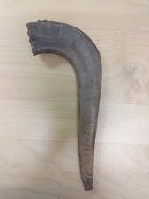 Widderhorn Schofar. Einer von