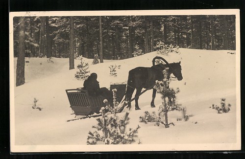 Foto pferdeschlitten am - im,