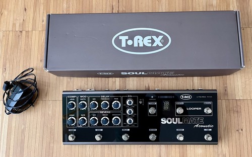 Rex soulmate acoustic - t-rex,