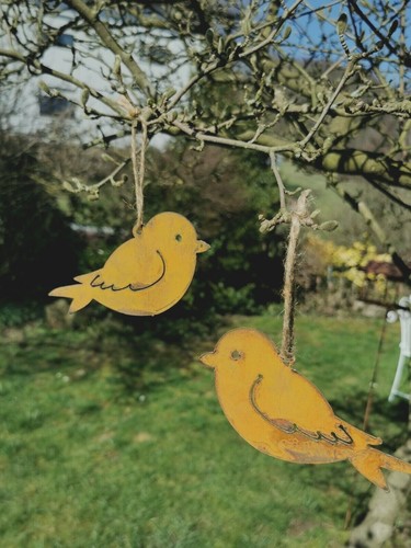Kleine vögel zum - kleine, hängen