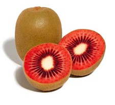 Actinidia arguta (RED KIWI) -
