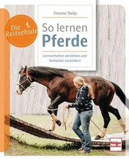 So lernen Pferde |