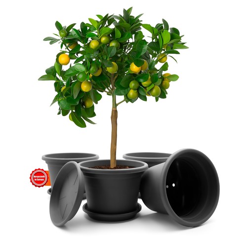 Stück blumentopf mit - 4,