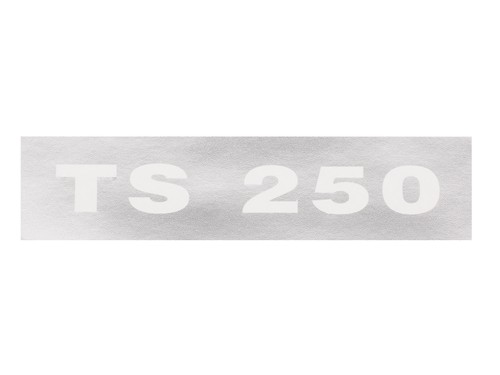 Schriftzug 250 - "ts, 250"