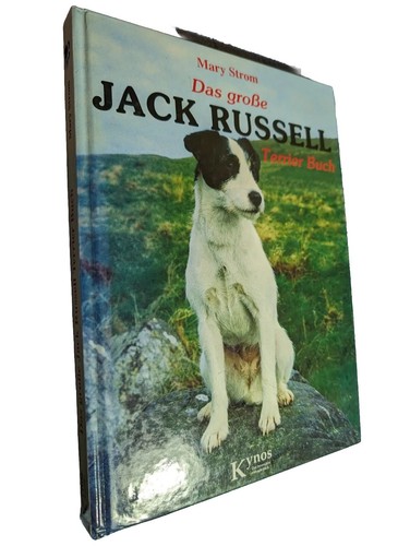 Das große jack russell - jack,